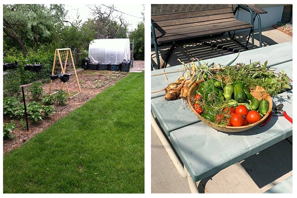 From Garden to Goodies